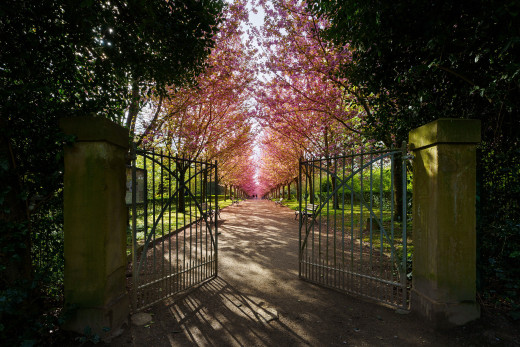 �1756468 �������(a): ����������:2048x1365